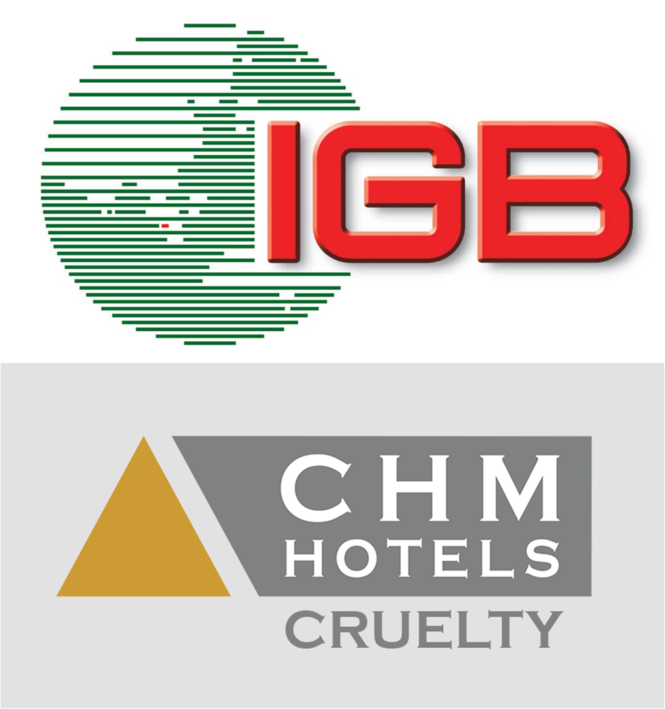 IGB