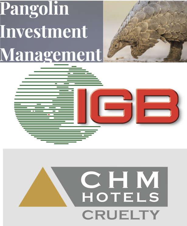 IGB